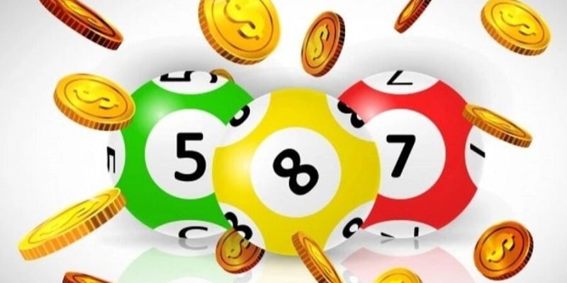 Bạch thủ lô là gì Bạch thủ lô là gì